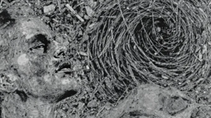 nullite-du-testament