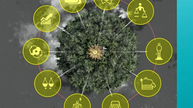 obligations-declarat