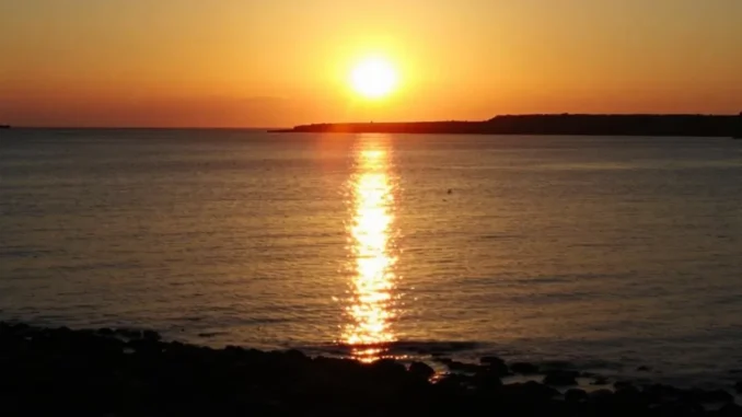 assurances-et-litige