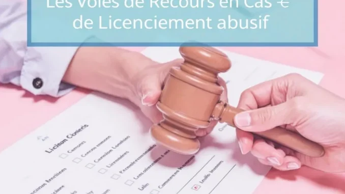 les-voies-de-recours